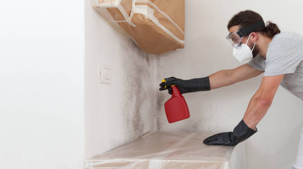 Professional Mold Testing technician working in Walpole, MA